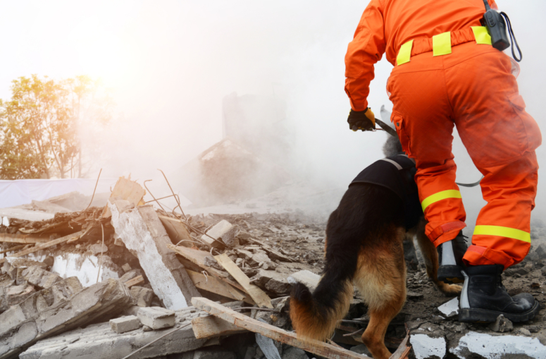 H&A colabora con el Comité de Emergencia de España en la ayuda a los afectados por el terremoto en Siria y Turquía